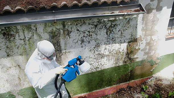 Trusted Commercial Mold Remediation service in Pflugerville, TX - Cheap Mold Removal